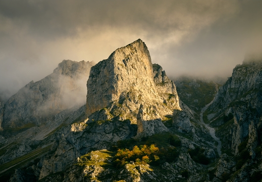 Picos de Europa